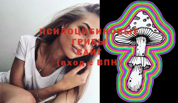 прущие крисы Коряжма