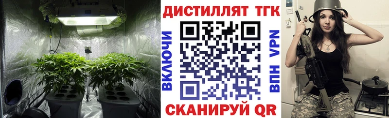 ТГК гашишное масло  Купить  Анива 