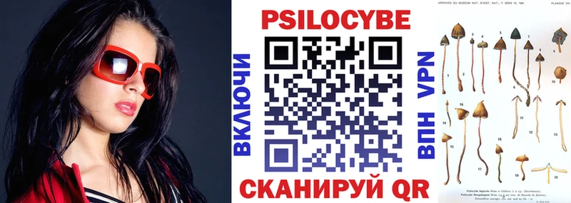 Купить закладки  Анива  Псилоцибиновые грибы Cubensis 