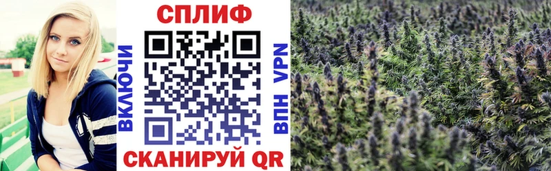Бошки марихуана индика  Купить где  Анива 